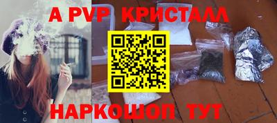 гашик Шелехов