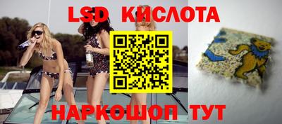 ГАЛЛЮЦИНОГЕННЫЕ ГРИБЫ Шахты