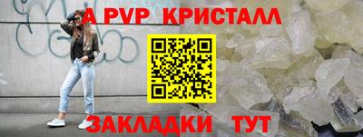 гашик Шелехов