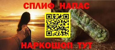 гашик Шелехов