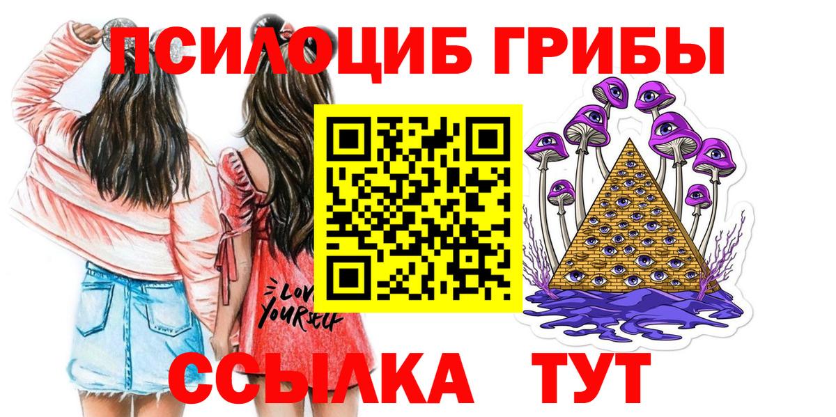 Галлюциногенные грибы Psilocybine cubensis  купить наркотик  Заводоуковск  Вход с VPN 